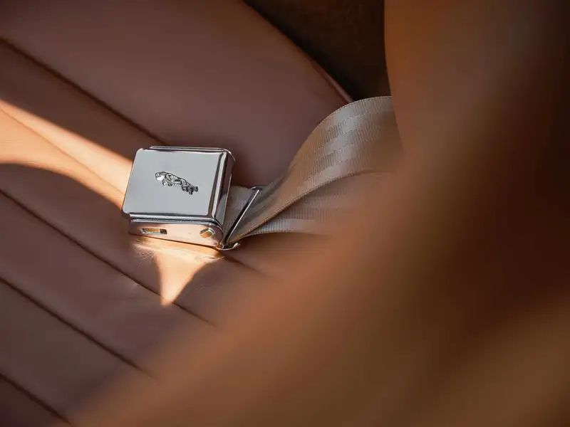 Seatbelt buckle detail